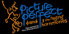 Picture Perfect Band